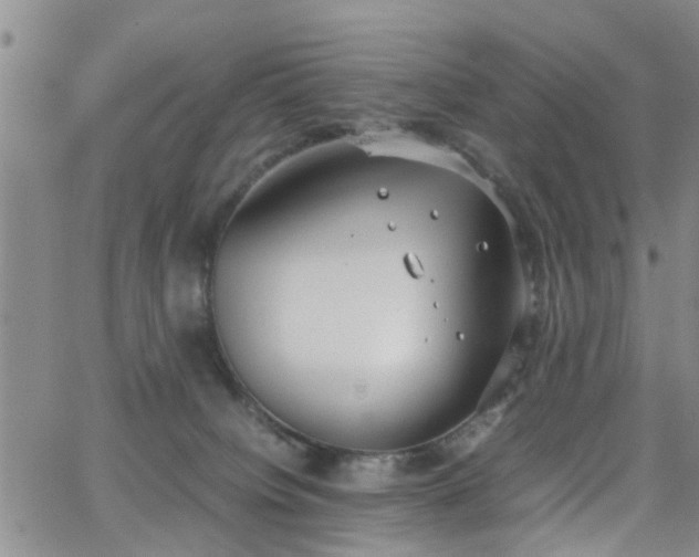 X0000062150084200512091325