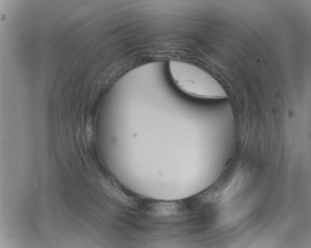 X0000062150085200512091325