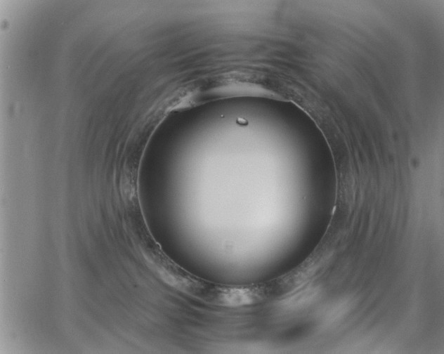 X0000062150091200512091325