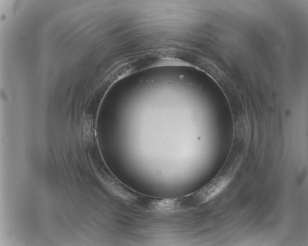 X0000062150092200512091325