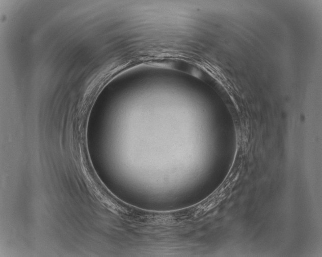 X0000062150097200512091325