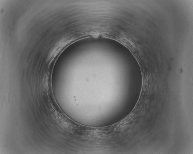 X0000062150098200512091325