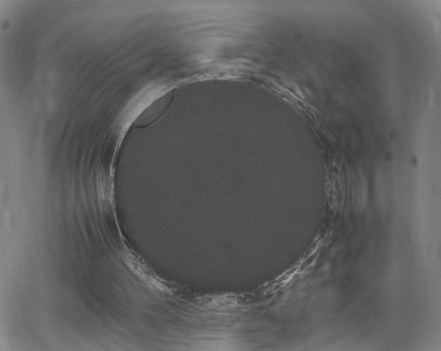 X0000062150100200512091324