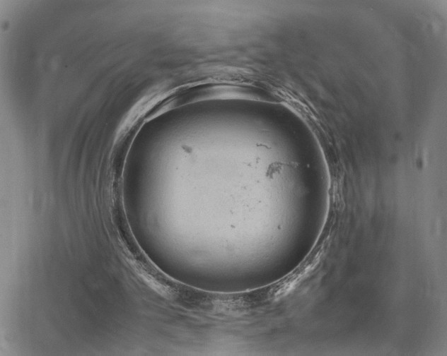 X0000062150101200512091324