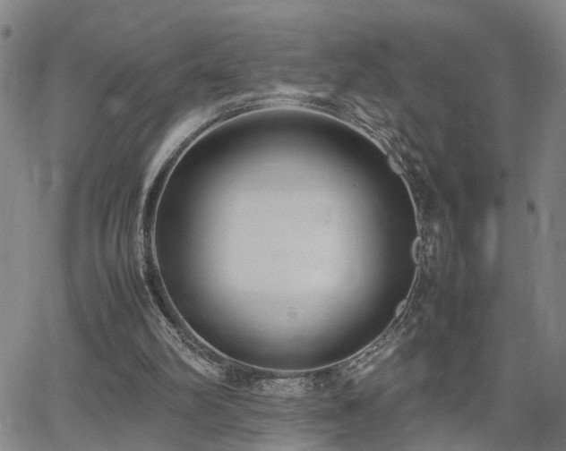 X0000062150102200512091324