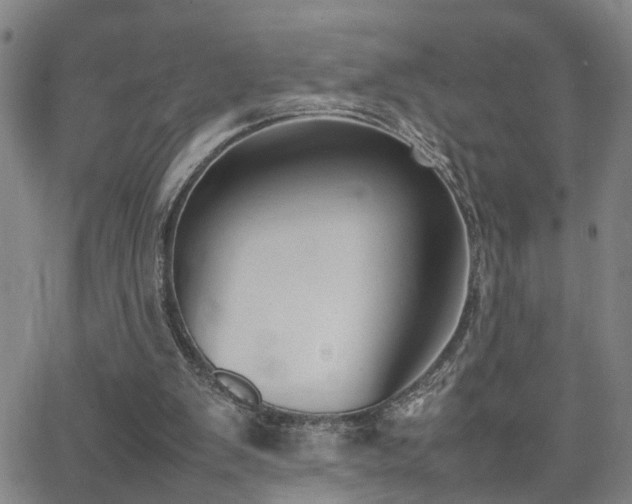 X0000062150103200512091324