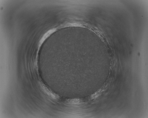 X0000062150104200512091324