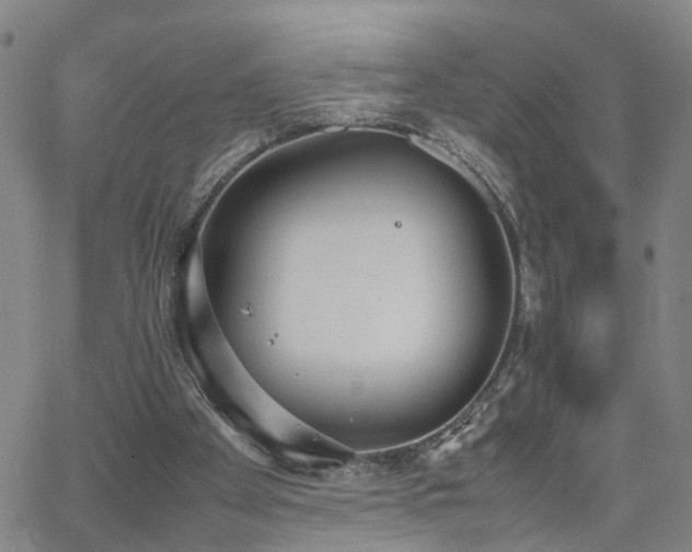 X0000062150105200512091324