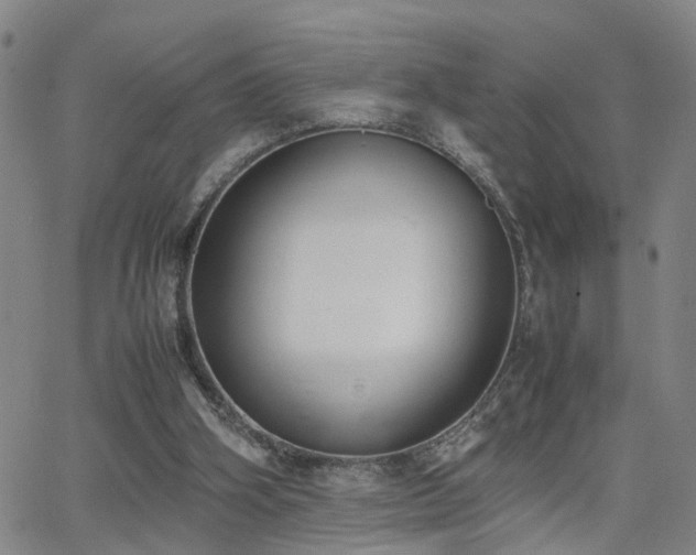 X0000062150106200512091324