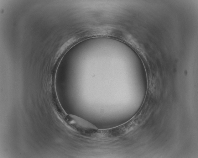 X0000062150107200512091324