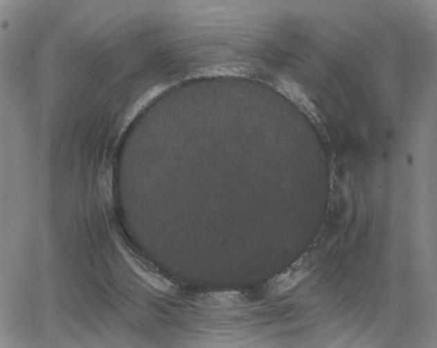 X0000062150108200512091324