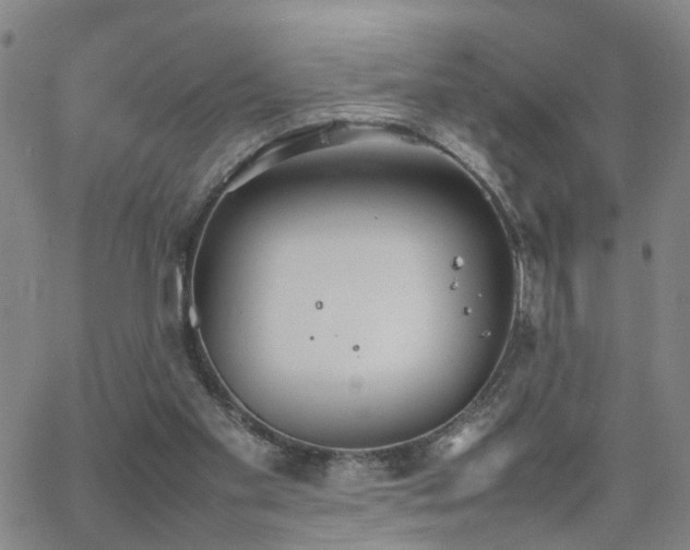 X0000062150109200512091324