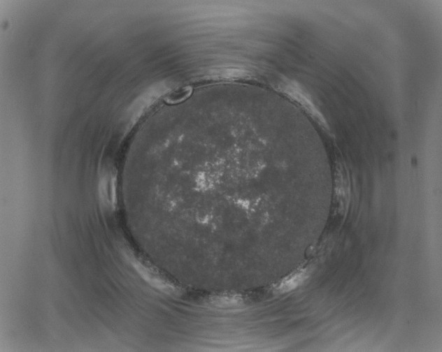 X0000062150110200512091324