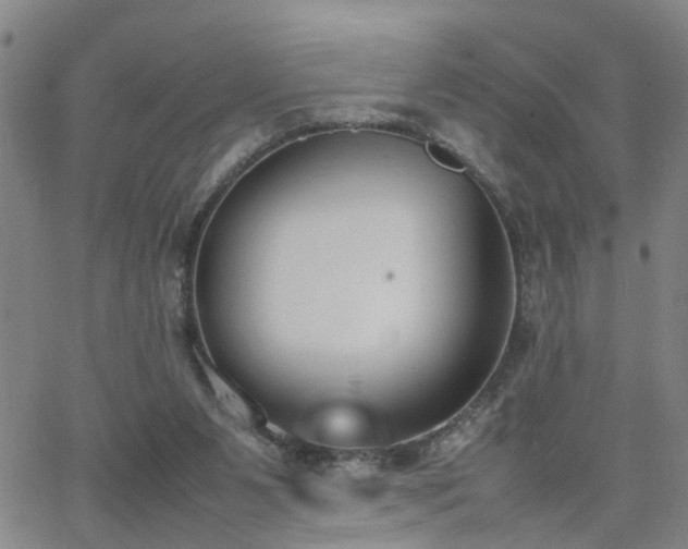 X0000062150111200512091324