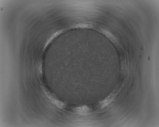 X0000062150112200512091324