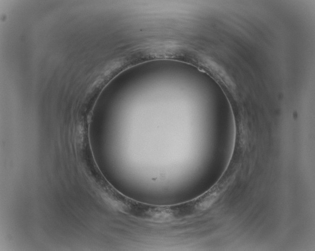 X0000062150113200512091324