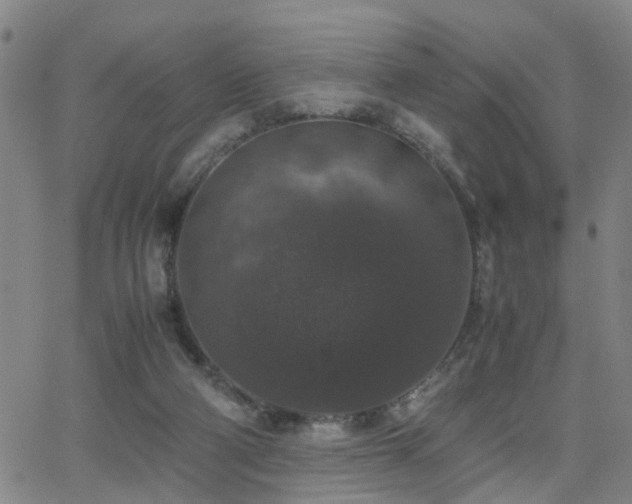 X0000062150114200512091324