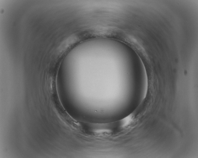 X0000062150115200512091324