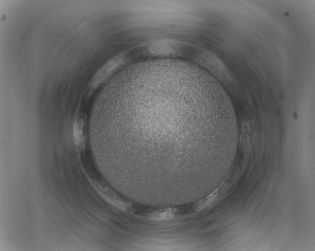 X0000062150116200512091324