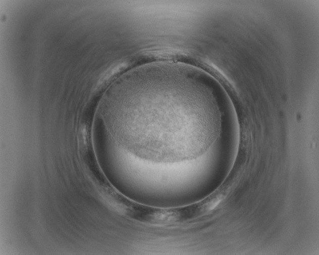 X0000062150117200512091324