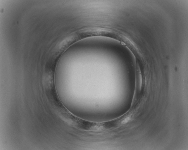 X0000062150119200512091324