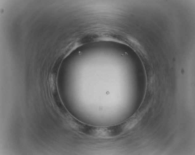 X0000062150121200512091324