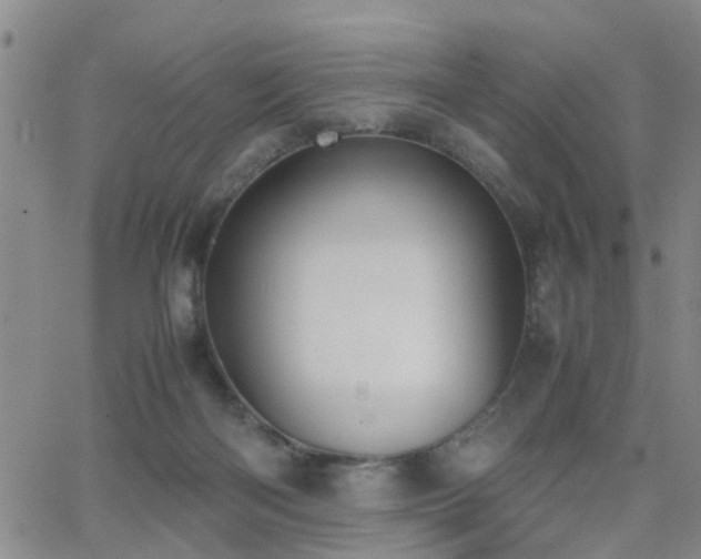 X0000062150122200512091324