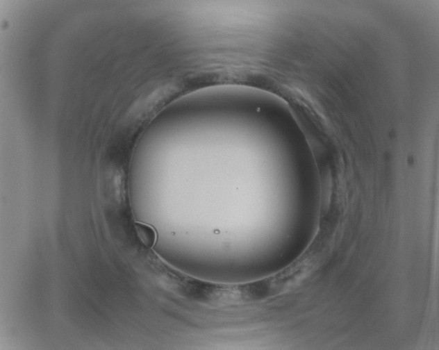 X0000062150123200512091324