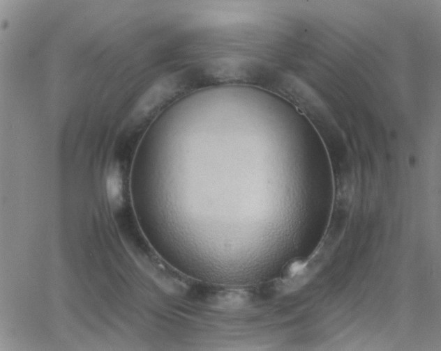 X0000062150124200512091324