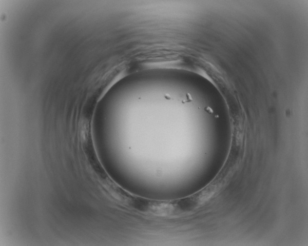 X0000062150125200512091324