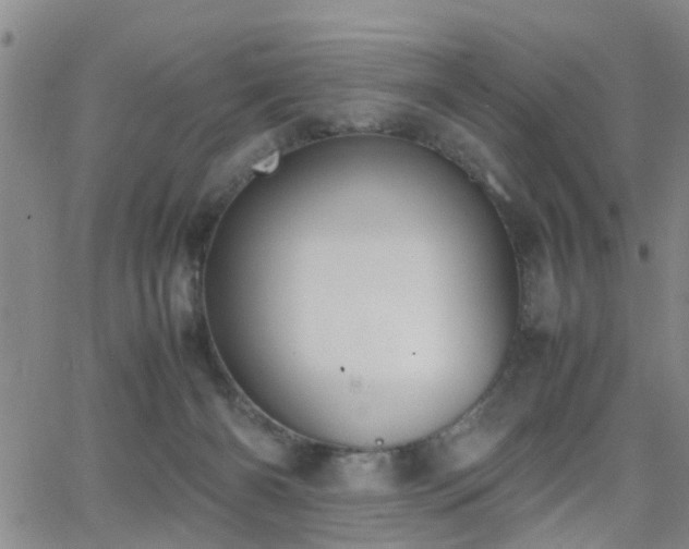 X0000062150126200512091324