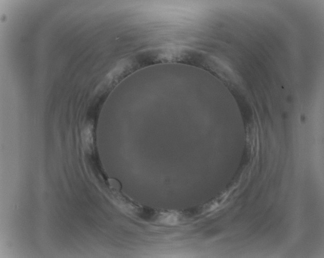 X0000062150127200512091324