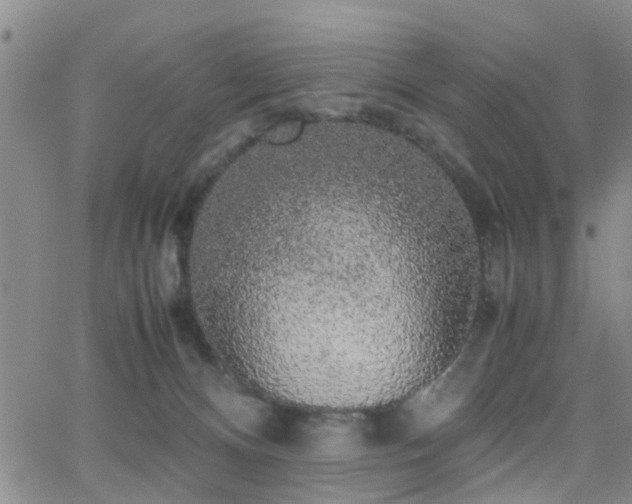 X0000062150128200512091324