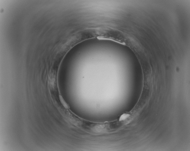 X0000062150129200512091324