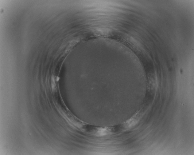 X0000062150130200512091324