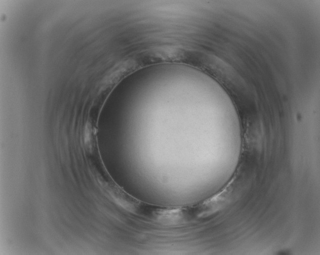 X0000062150132200512091324