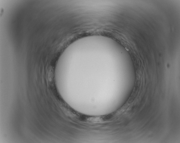 X0000062150133200512091324