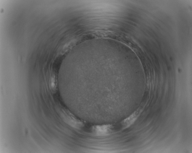 X0000062150134200512091324