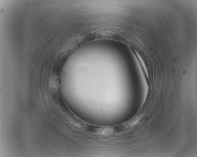 X0000062150135200512091324