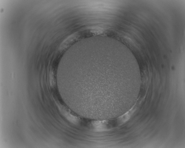 X0000062150136200512091324