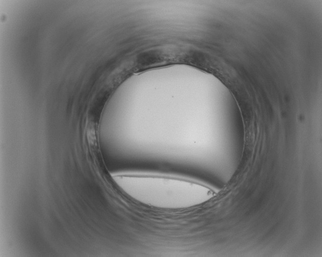 X0000062150137200512091324