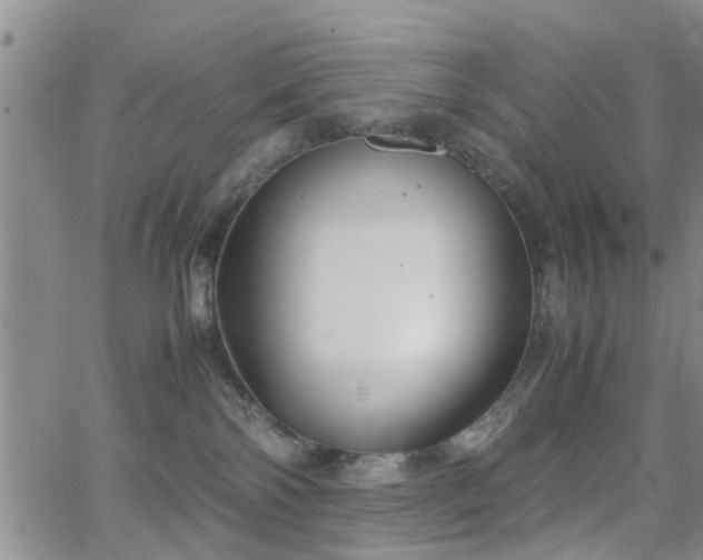 X0000062150138200512091324