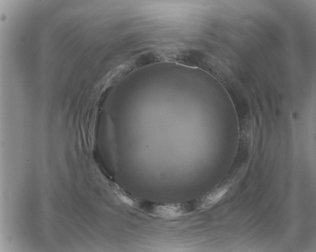 X0000062150139200512091324