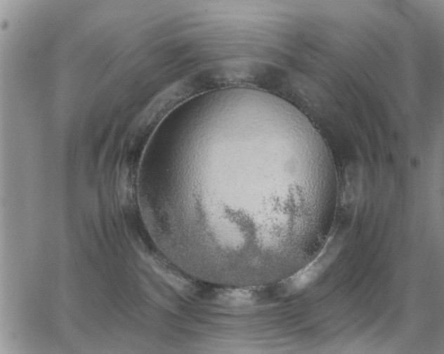 X0000062150140200512091324