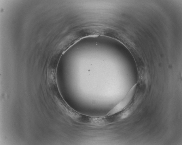 X0000062150141200512091324