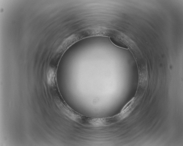 X0000062150142200512091324