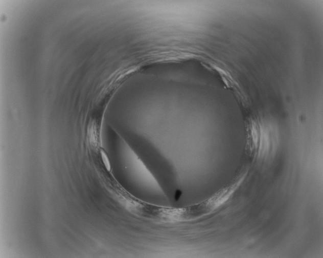 X0000062150143200512091324