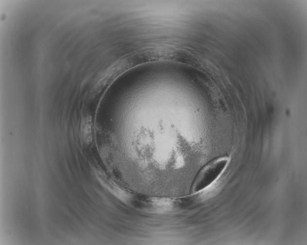 X0000062150144200512091324