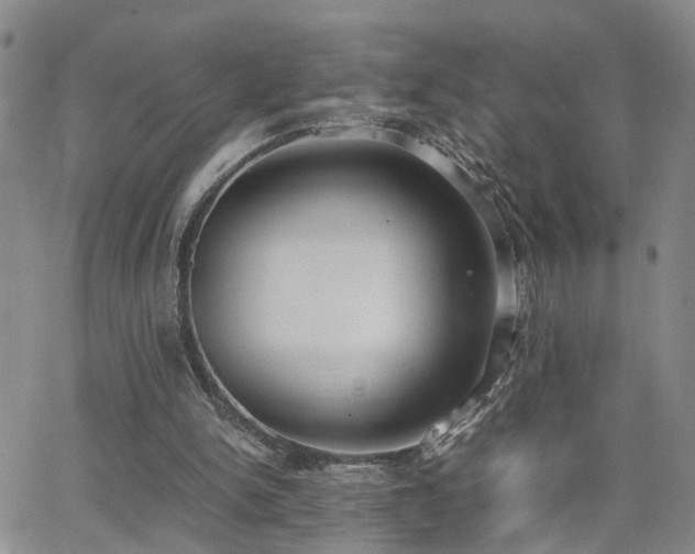 X0000062150150200512091323