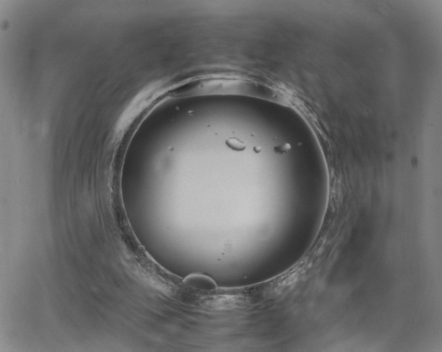 X0000062150151200512091323